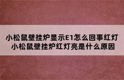 小松鼠壁挂炉显示E1怎么回事红灯 小松鼠壁挂炉红灯亮是什么原因